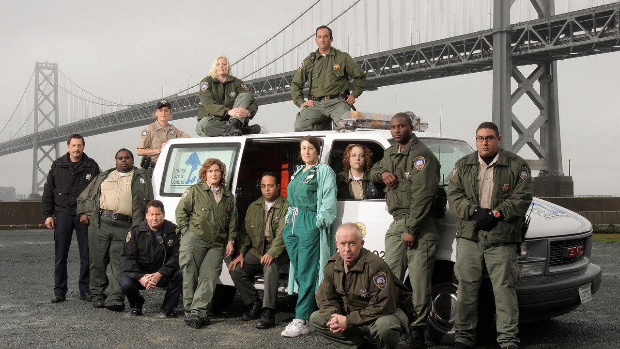 Animal Cops: San Francisco backdrop
