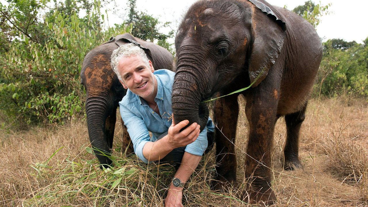Gordon Buchanan: Elephant Family & Me backdrop