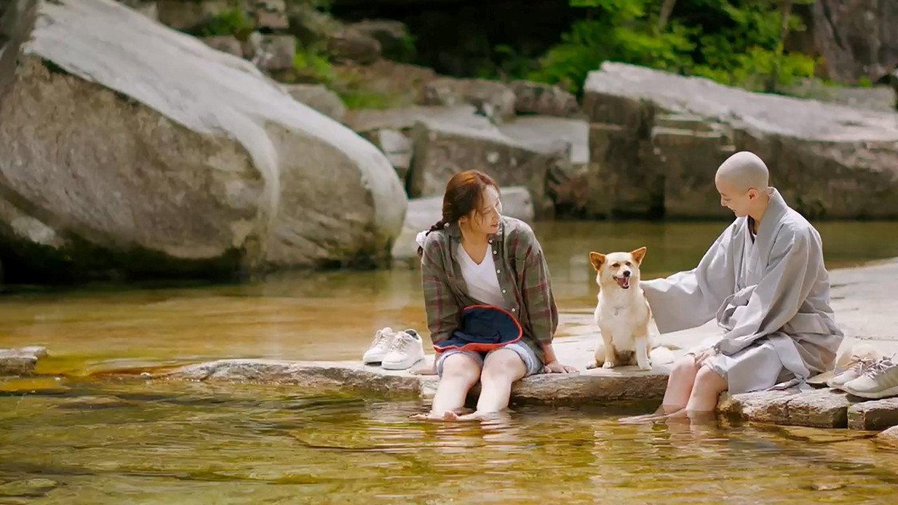 Mungyeong: More than Roads backdrop