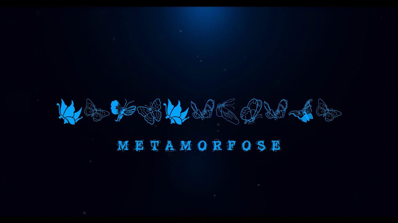 Metamorphosis backdrop