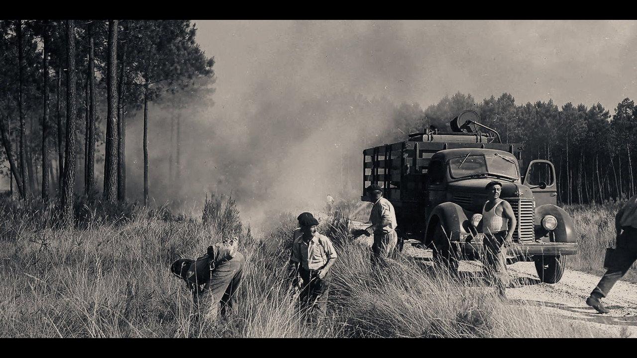 1949 : le Grand feu backdrop