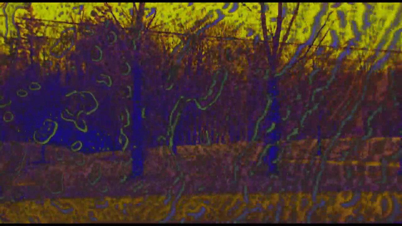 Joose Psychedelia Test backdrop