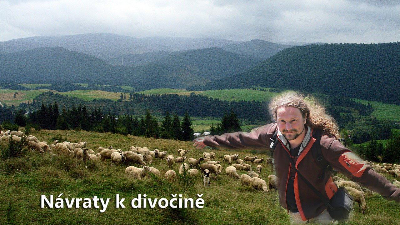 Návraty k divočině backdrop