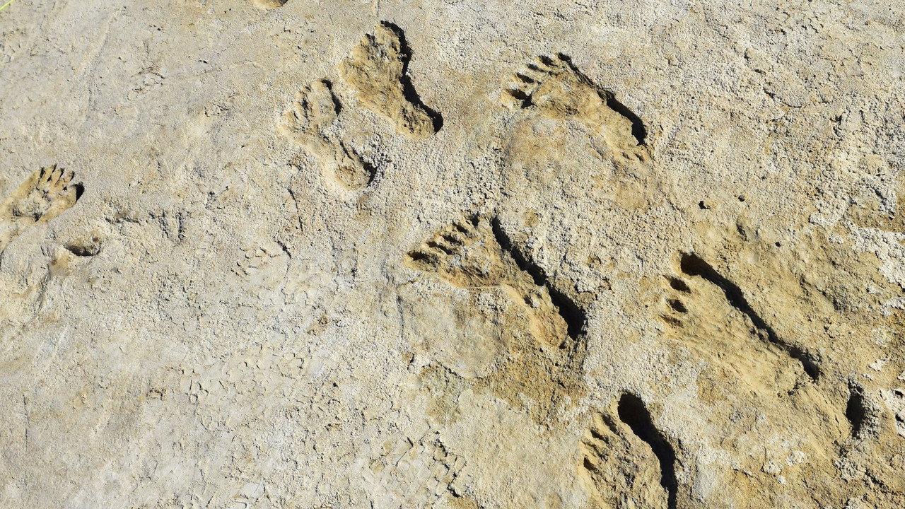 Ice Age Footprints backdrop