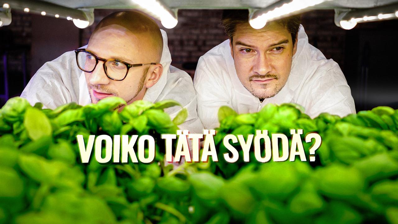 Voiko tätä syödä? backdrop