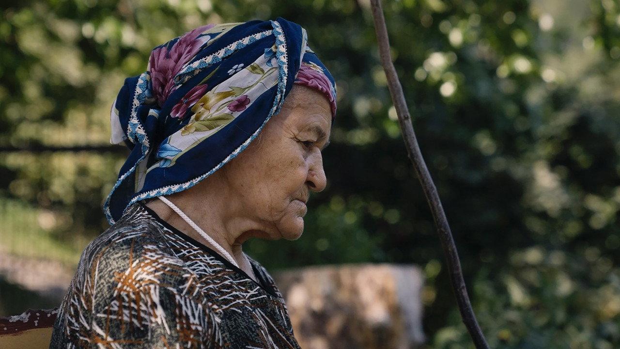 Wild Women of Anatolia backdrop