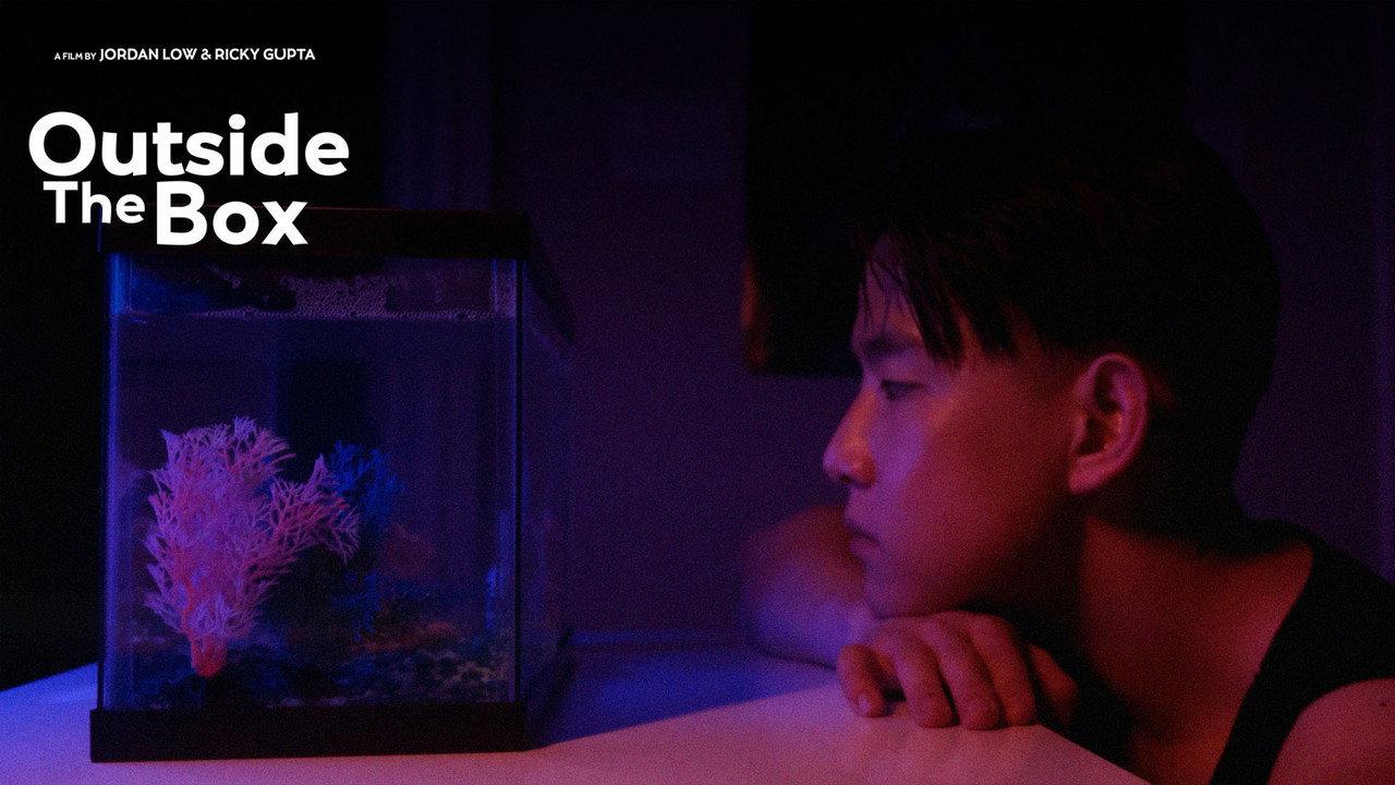 Outside The Box - Short backdrop