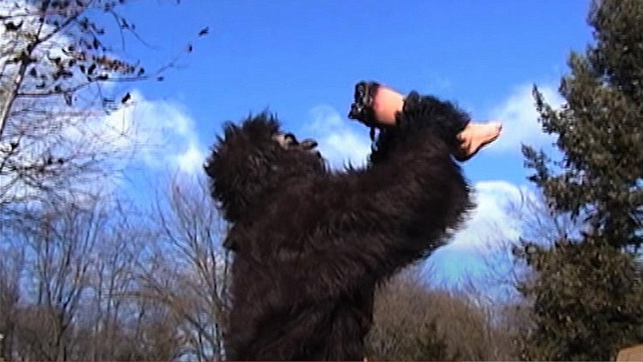 Suburban Sasquatch backdrop