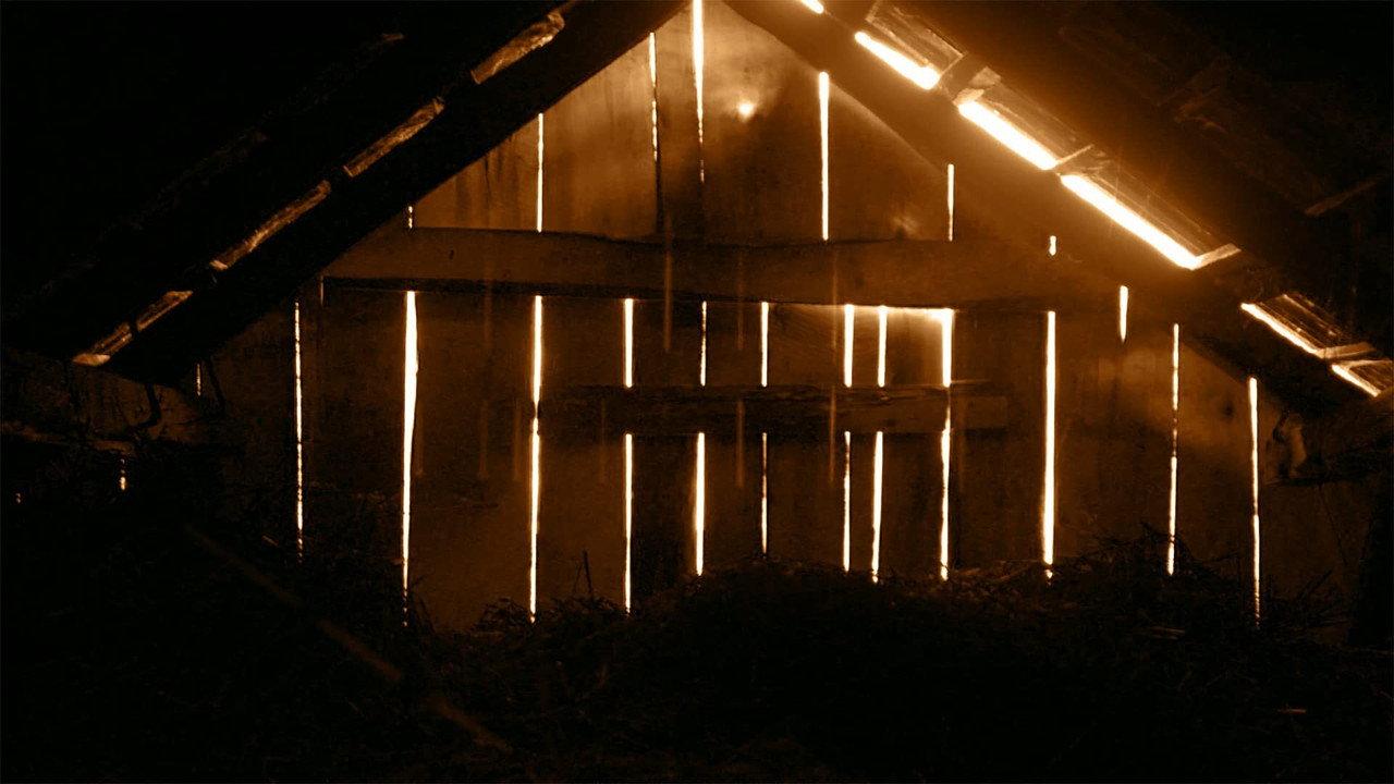 A Single Frame backdrop