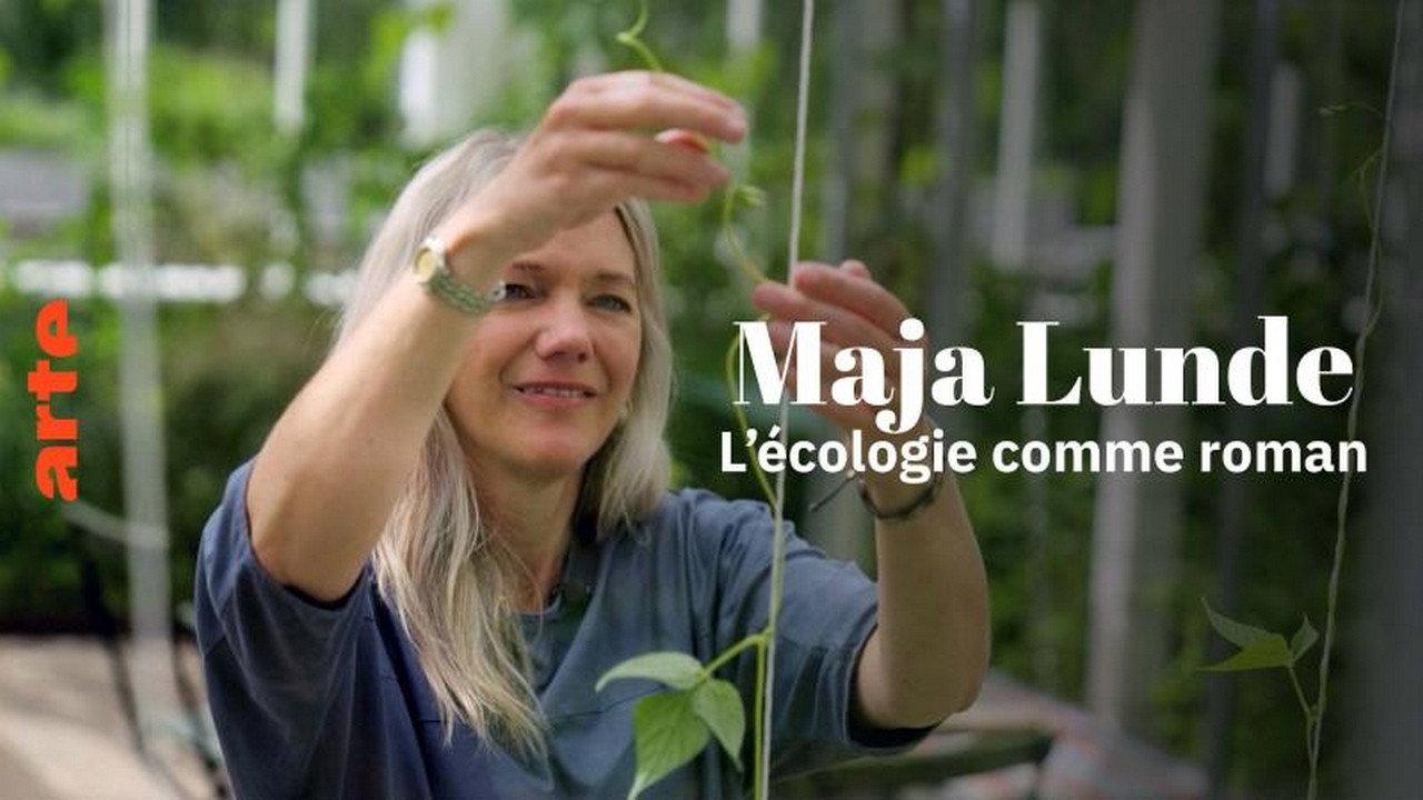 Das Phänomen Maja Lunde: Klimawandel als Bestseller backdrop