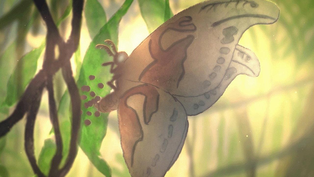Imago backdrop