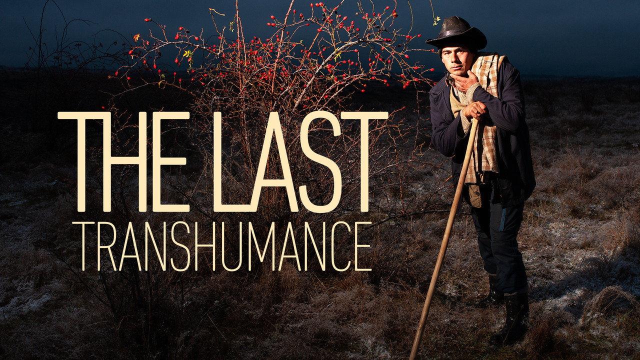 The Last Transhumance backdrop