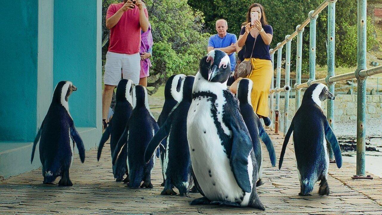 Penguin Town backdrop