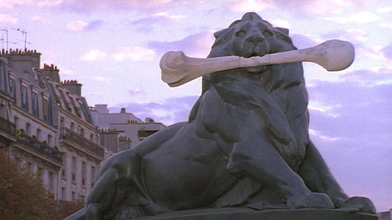 The Vanishing Lion backdrop