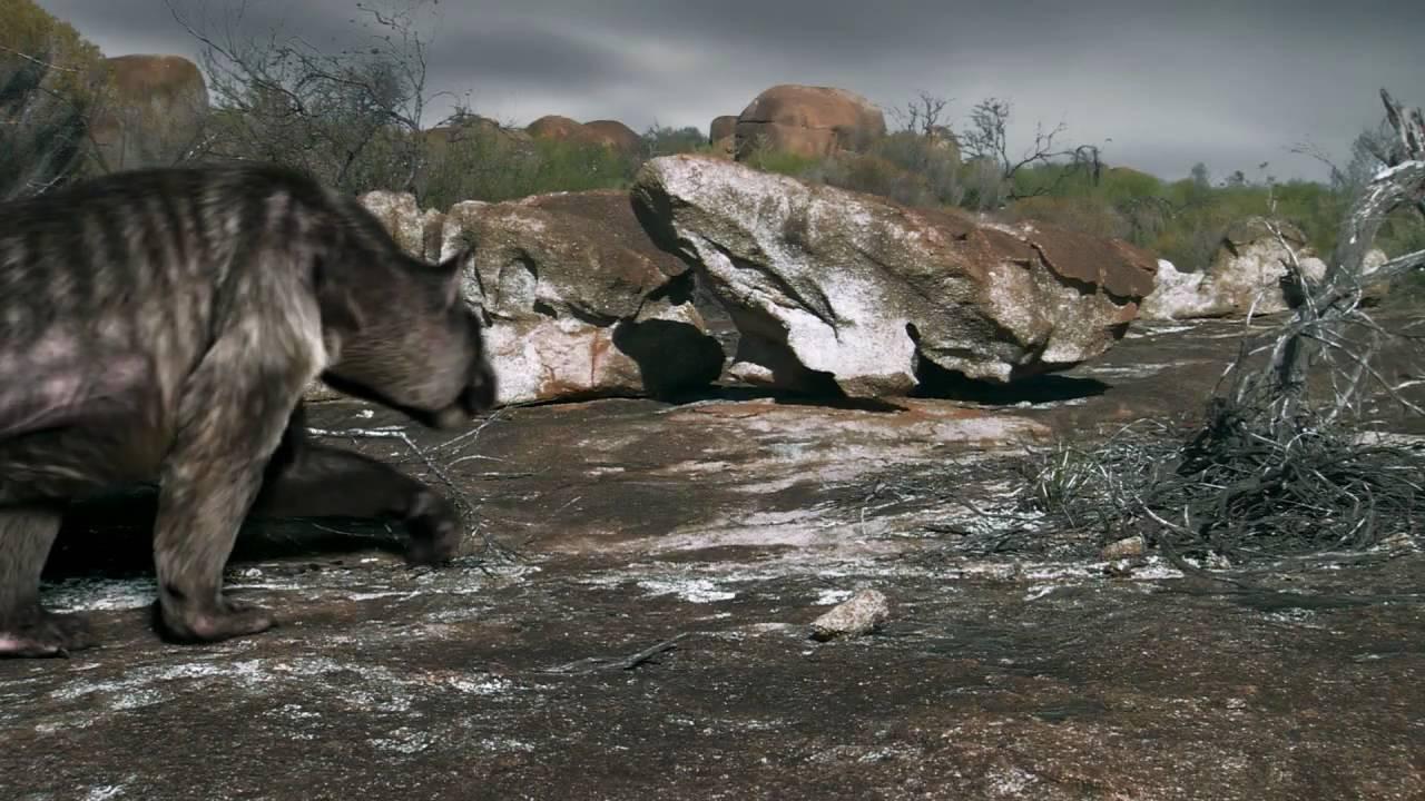 Death of the Megabeasts backdrop