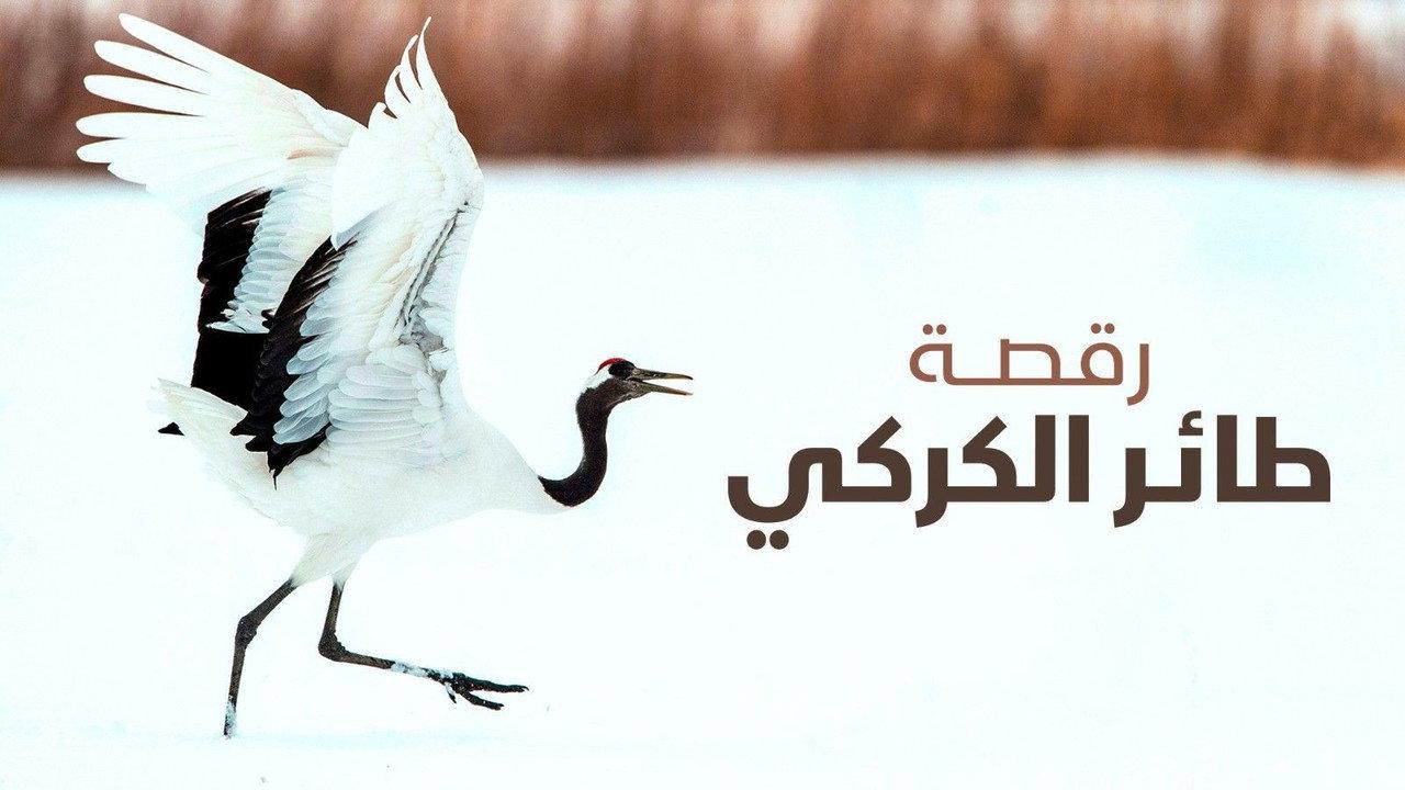 Dance Of The Crane backdrop