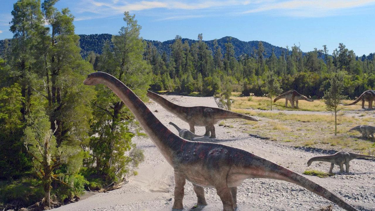 Les Dinosaures du pôle Sud backdrop