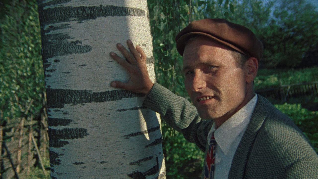 The Red Snowball Tree backdrop