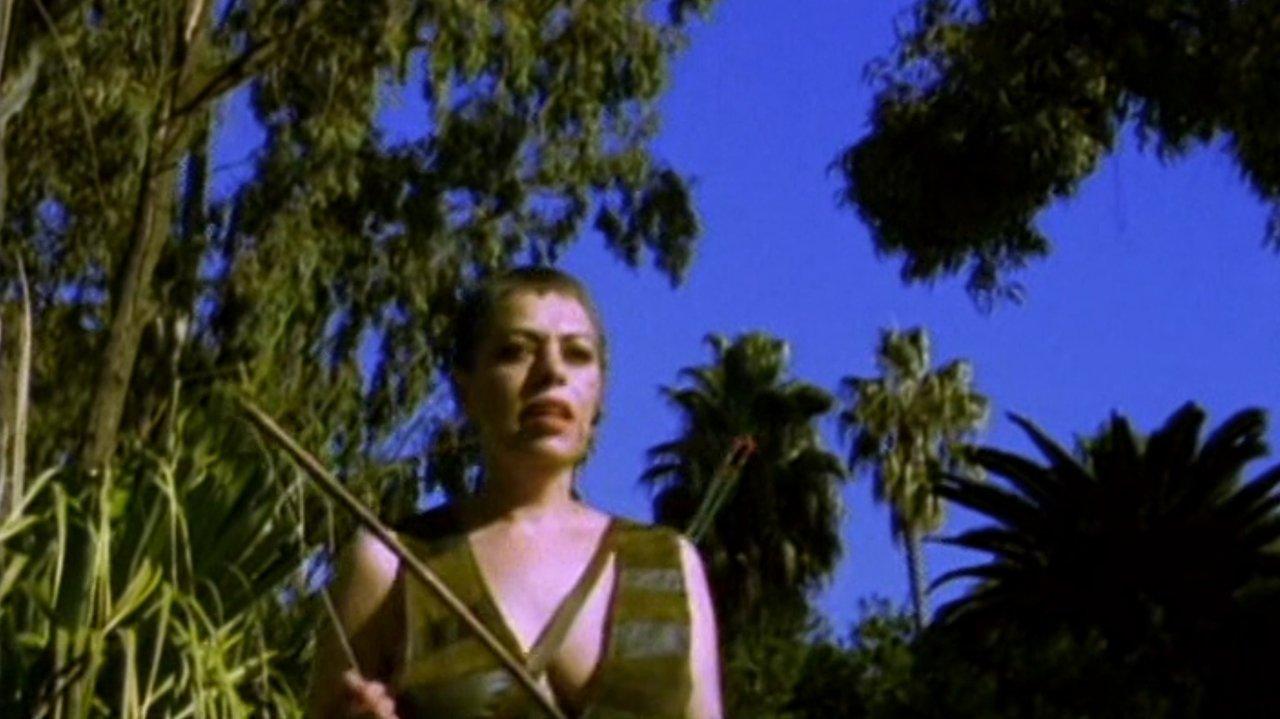Tender Flesh backdrop