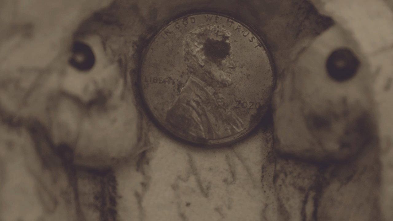 pennies backdrop