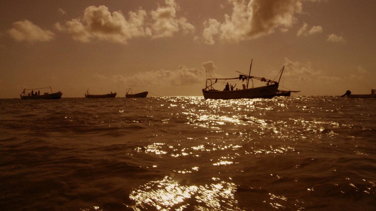 Pirating Pirates backdrop