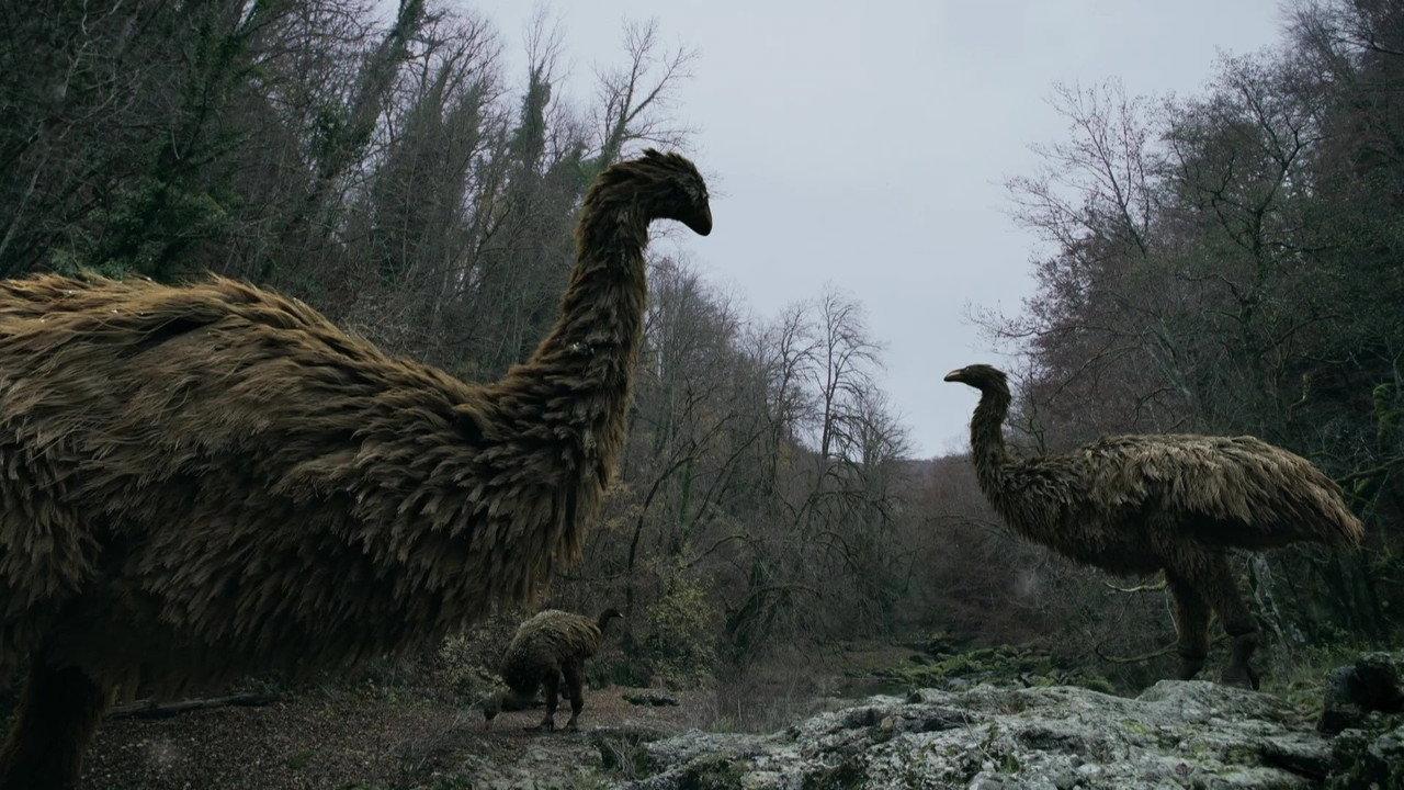 Mystery of the Giant Birds backdrop