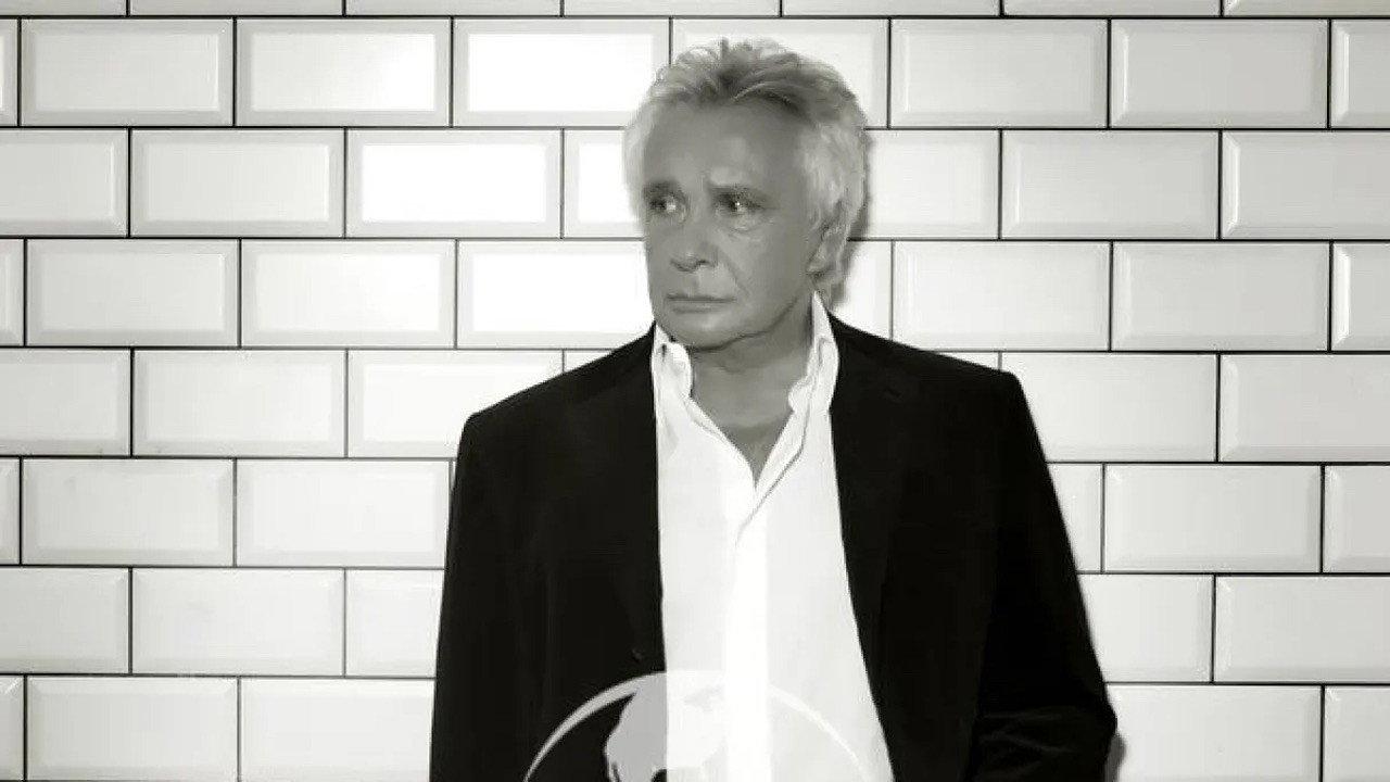 Michel Sardou - Live 2013 backdrop