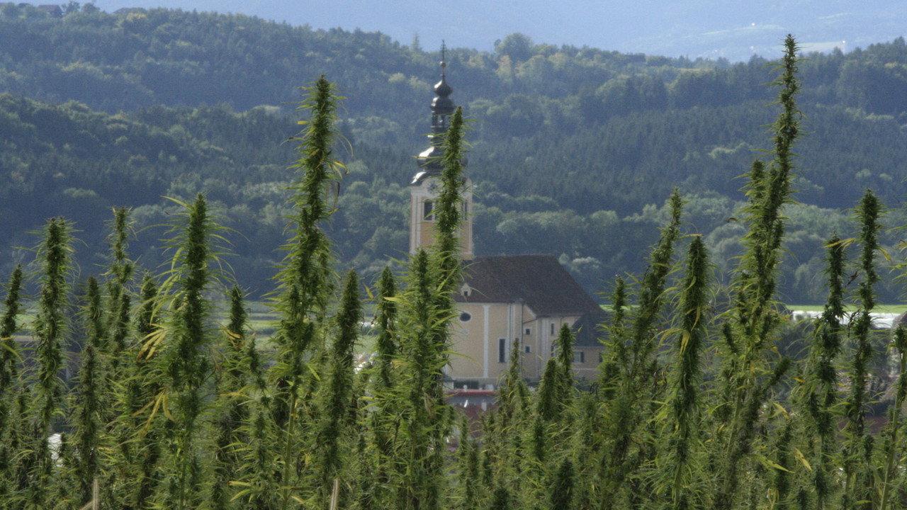 Zustandswechsel backdrop