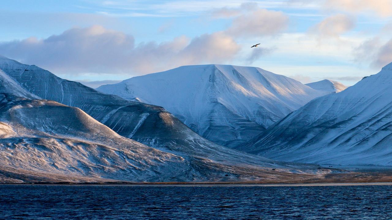 Na vlastní nohy backdrop