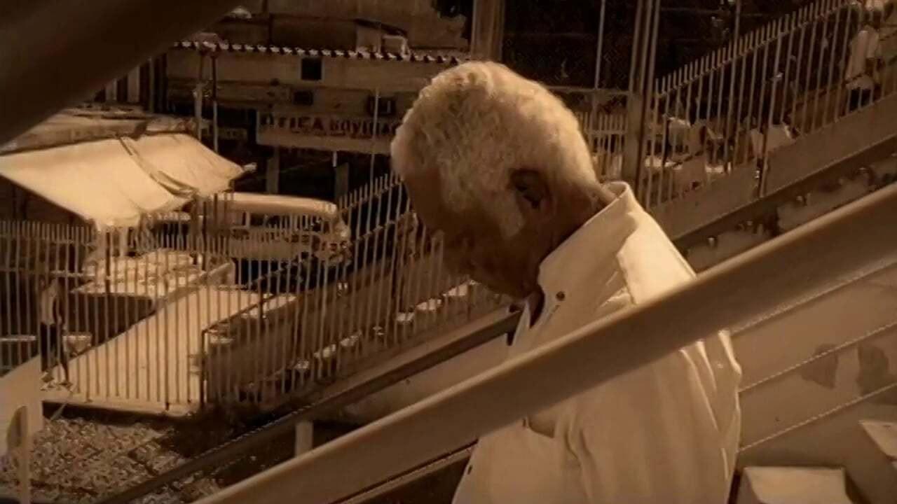 Geraldo José - O Som Sem Barreira backdrop