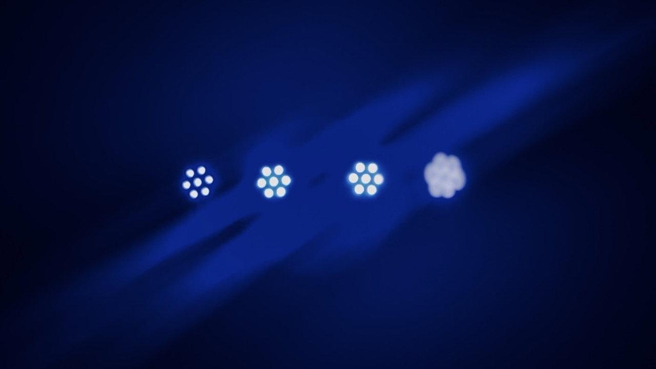 Mérou backdrop