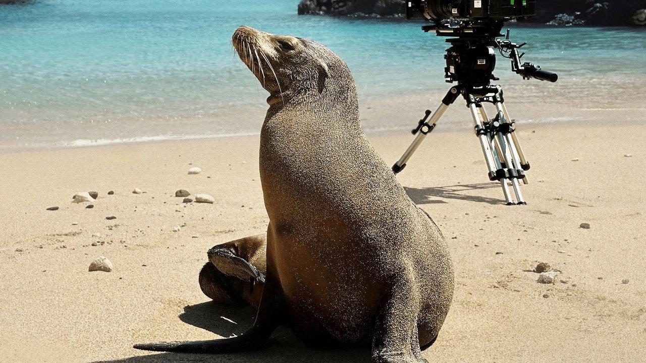 Guardians of the Galapagos backdrop