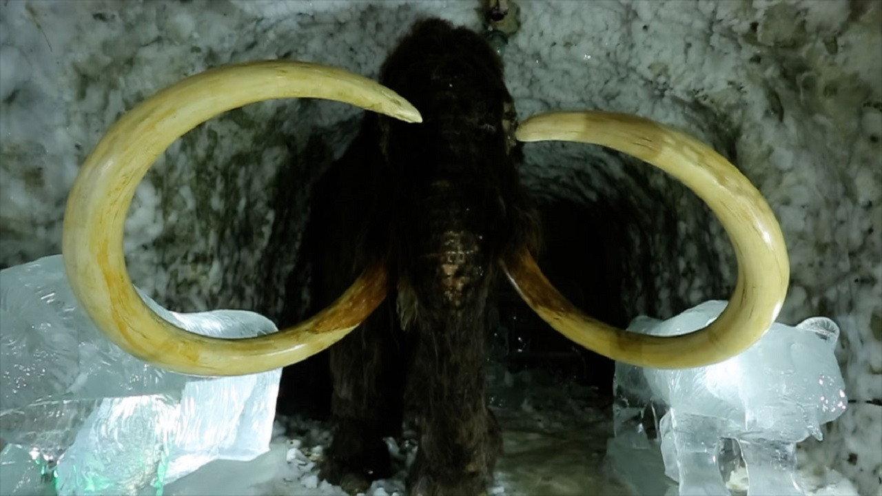 Passions For The Mammoth backdrop