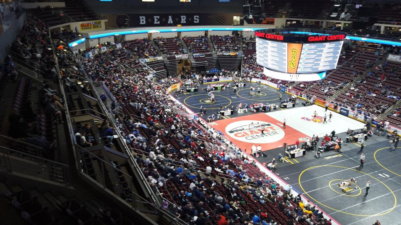 Iron Maidens: Wrestling for Glory backdrop