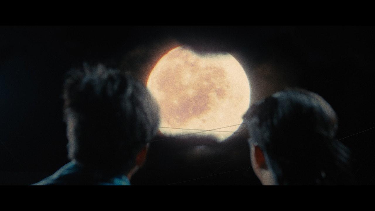 Apocalypse Mart backdrop