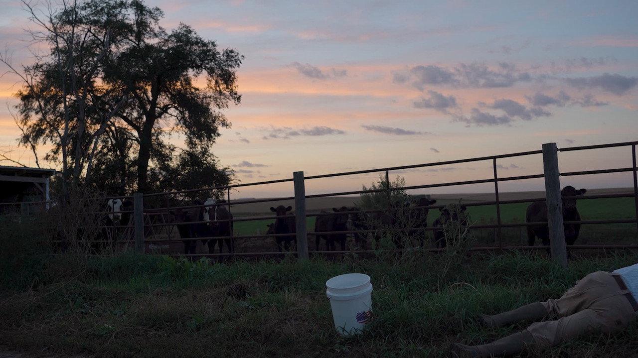 Pastoral backdrop