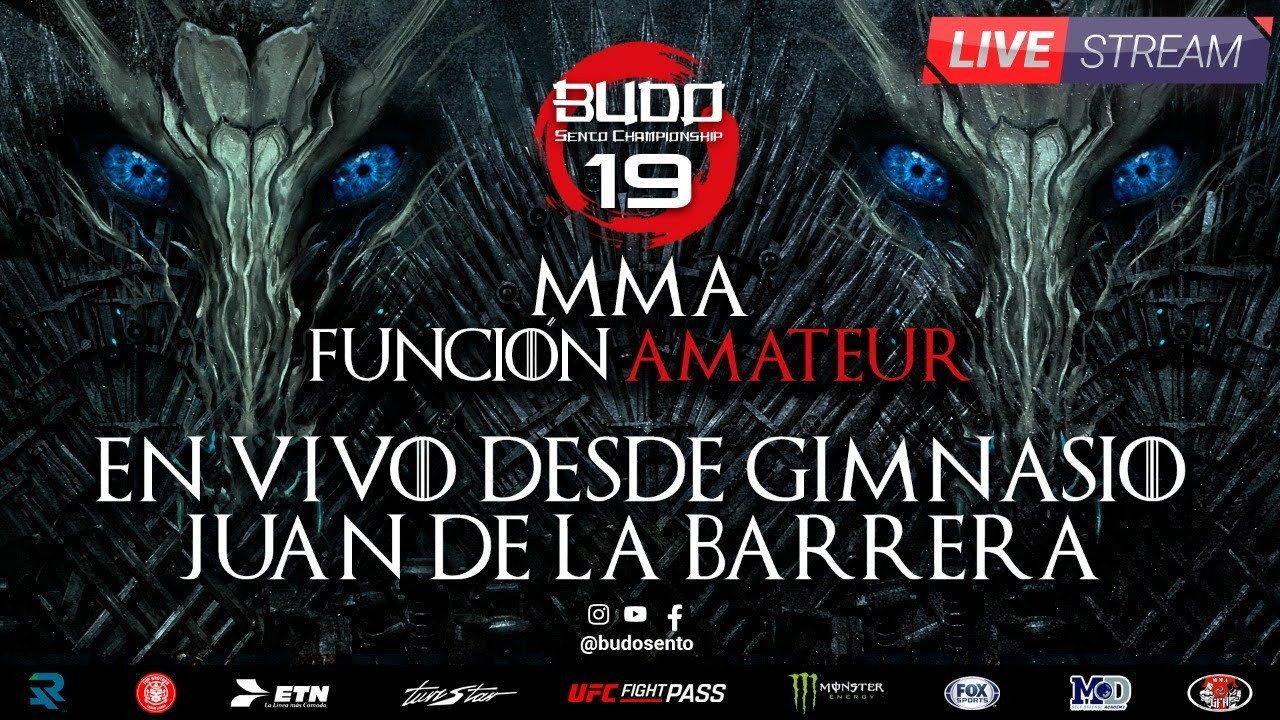 Budo Sento Championship 19 backdrop