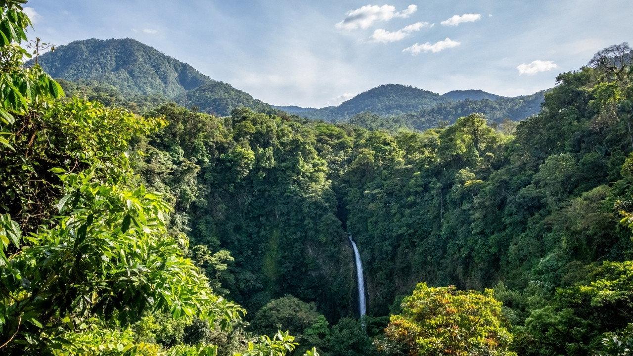 Living Landscapes: Costa Rica backdrop