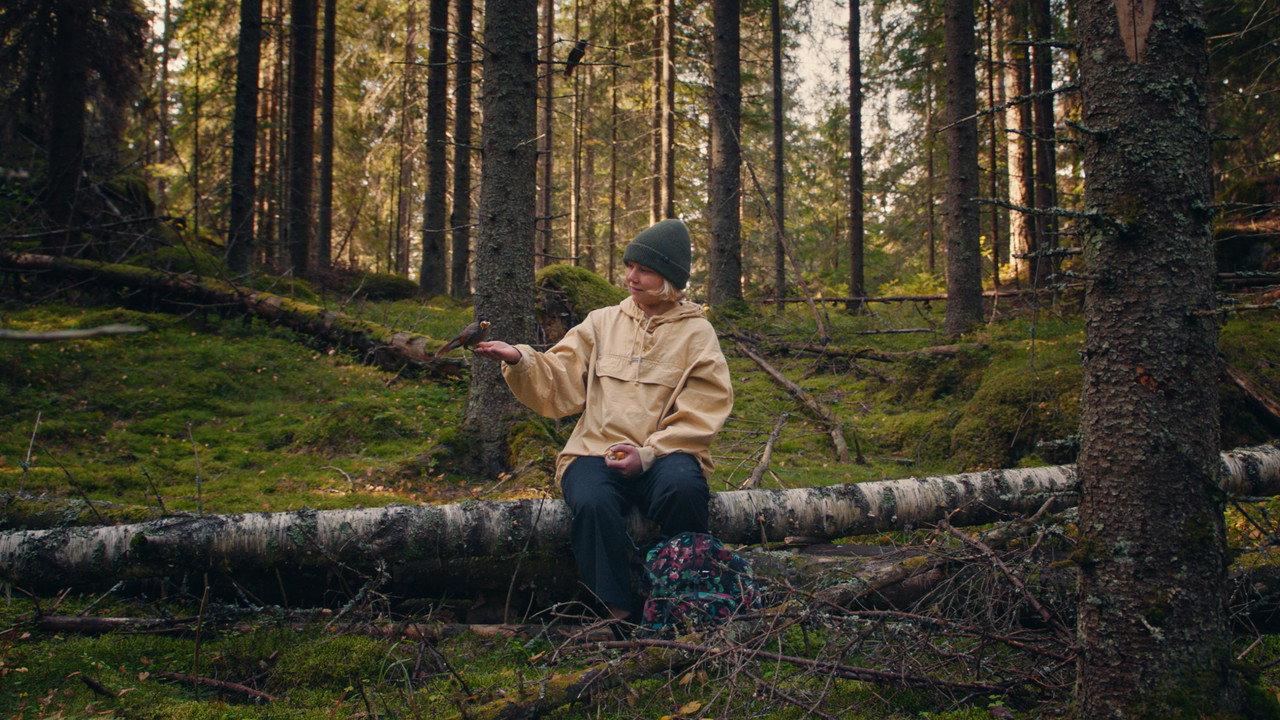 Once Upon a Time in a Forest backdrop