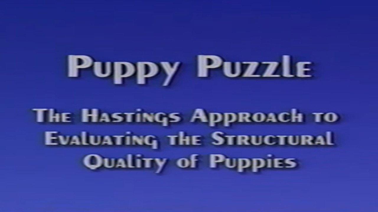 Puppy Puzzle backdrop