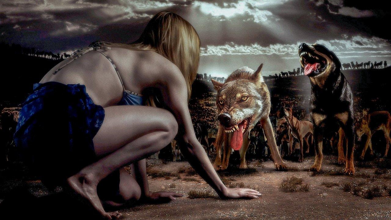 The Breed backdrop