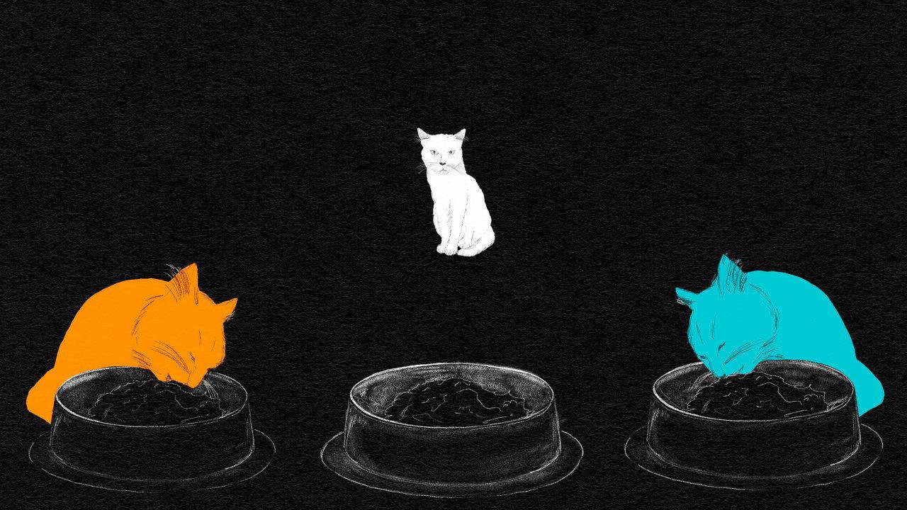 Armer weisser Kater backdrop