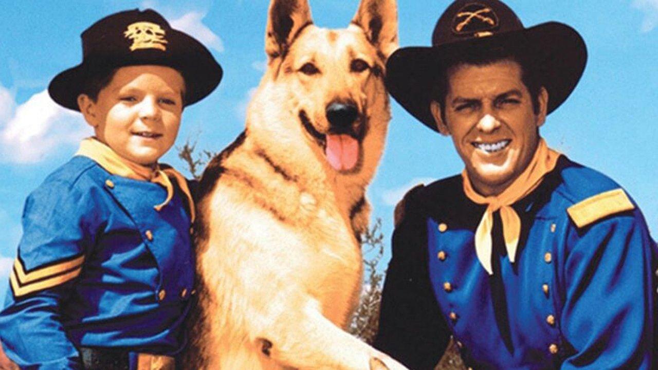 The Adventures of Rin Tin Tin backdrop