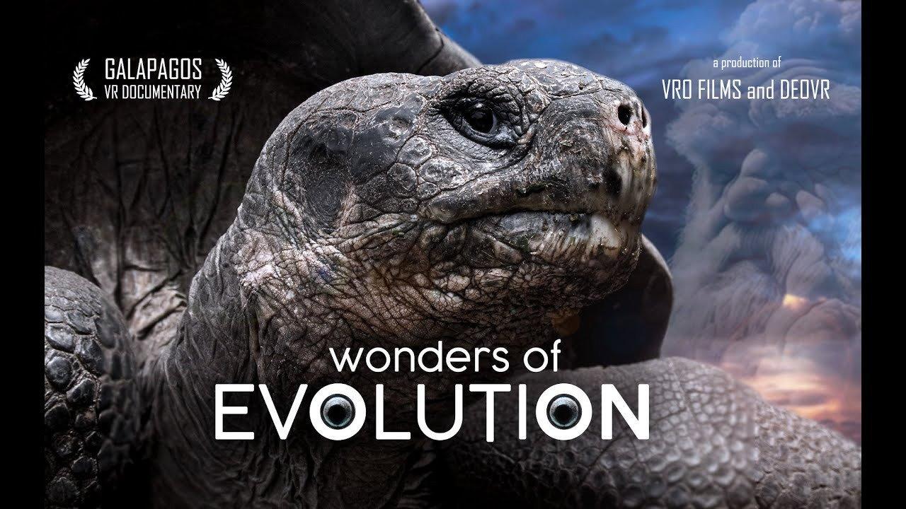 Wonders of Evolution backdrop