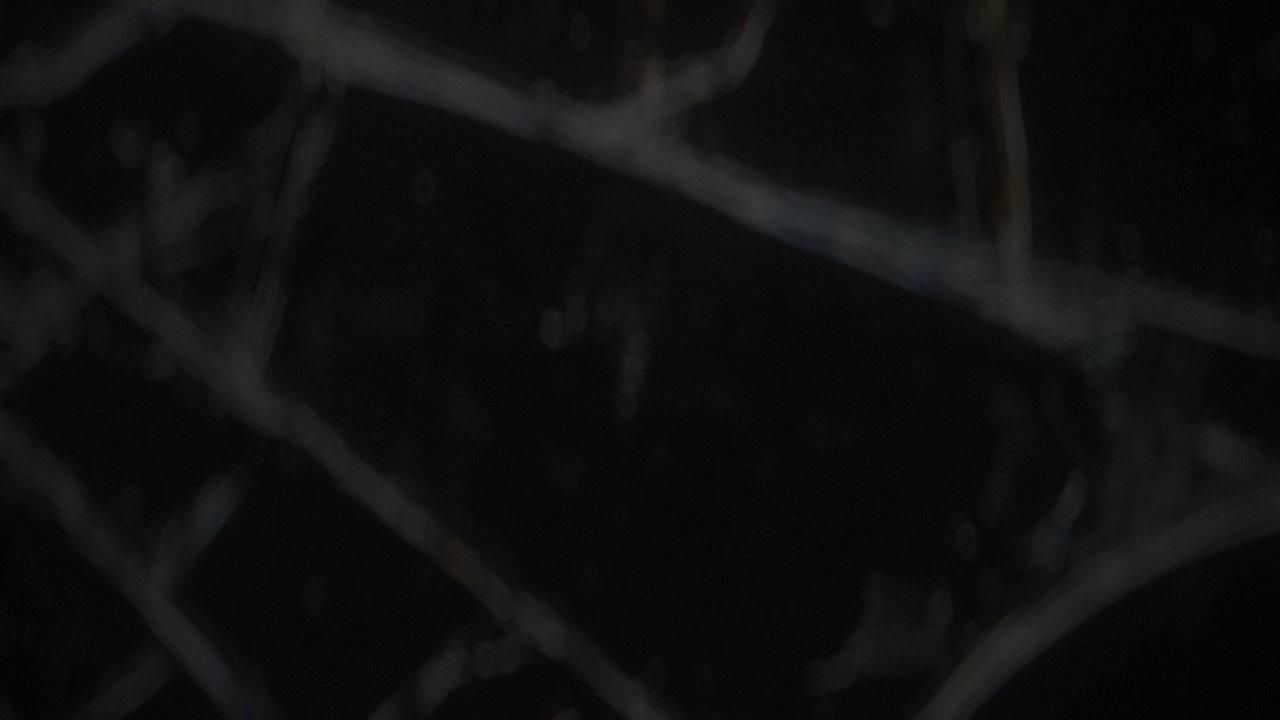 Reiteration backdrop