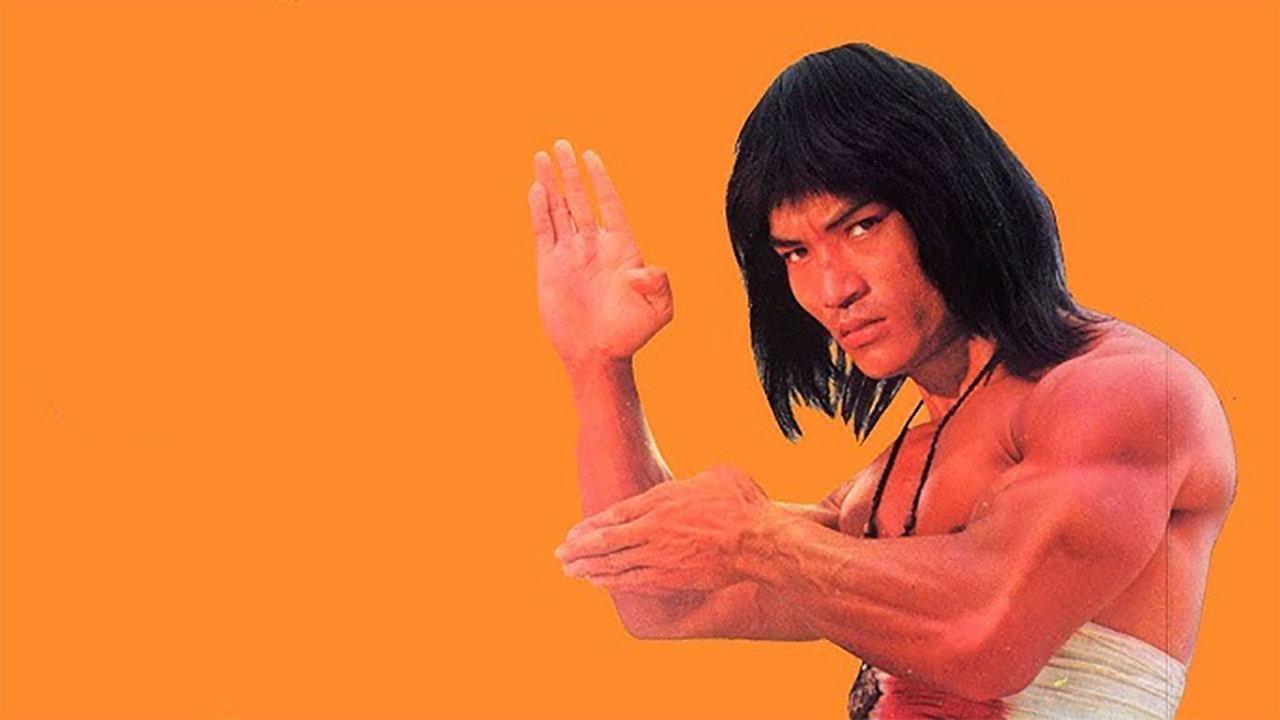 Bruce Lee's Ways of Kung Fu backdrop