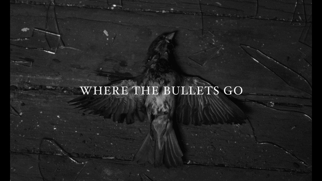 Where the Bullets Go backdrop