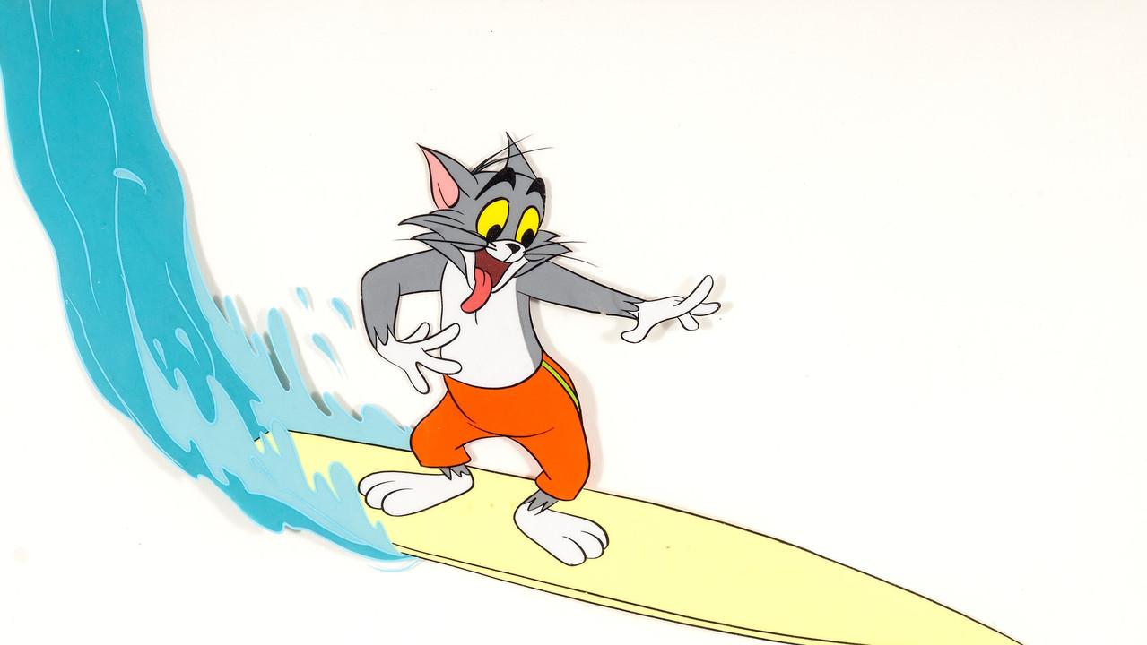 Surf-Bored Cat backdrop