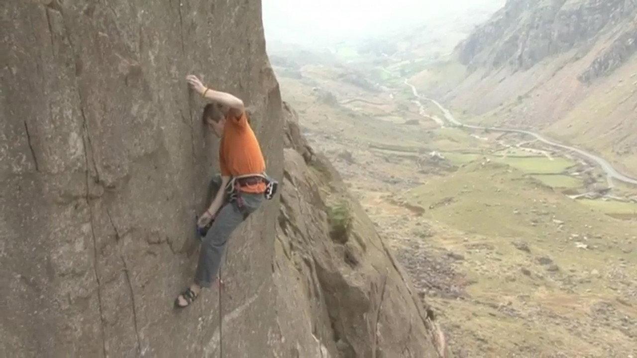 Committed backdrop