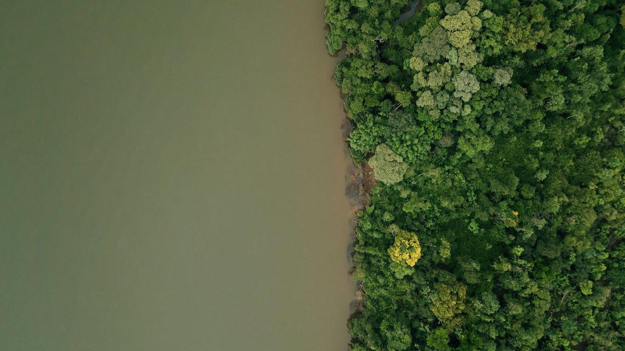 DAMS AMONG US backdrop